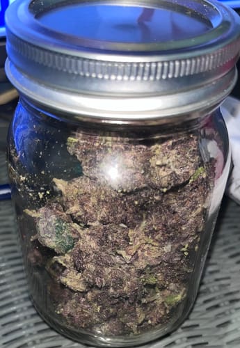 Customer photo review of Purple Sunset THCA Flower