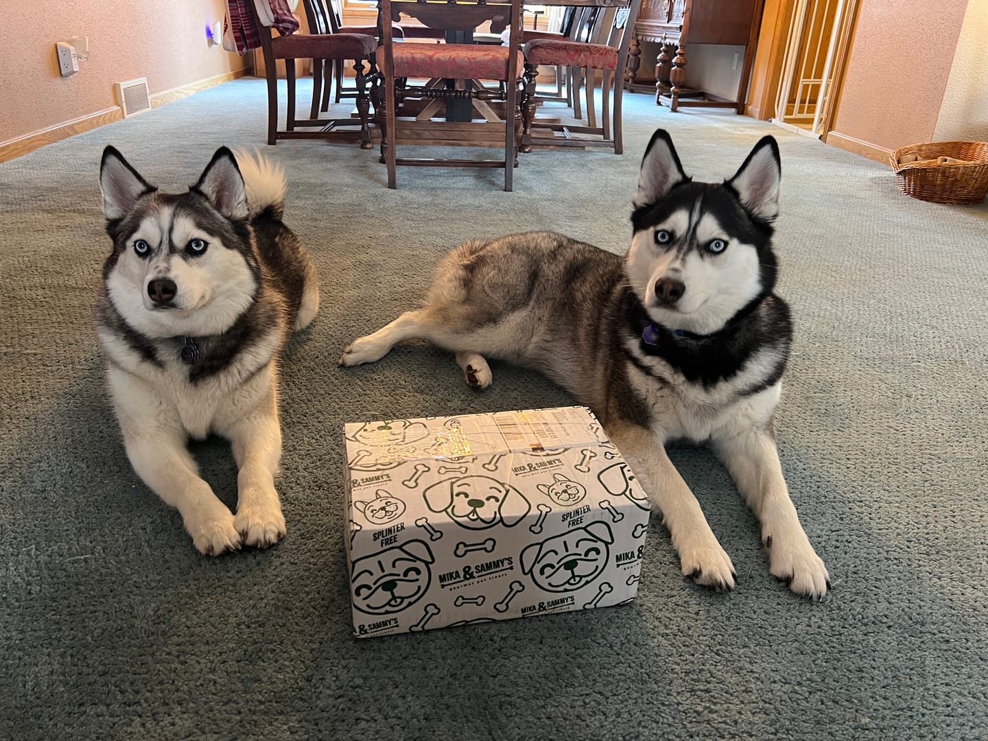 Customer photo review of 1 LB Chew Pack