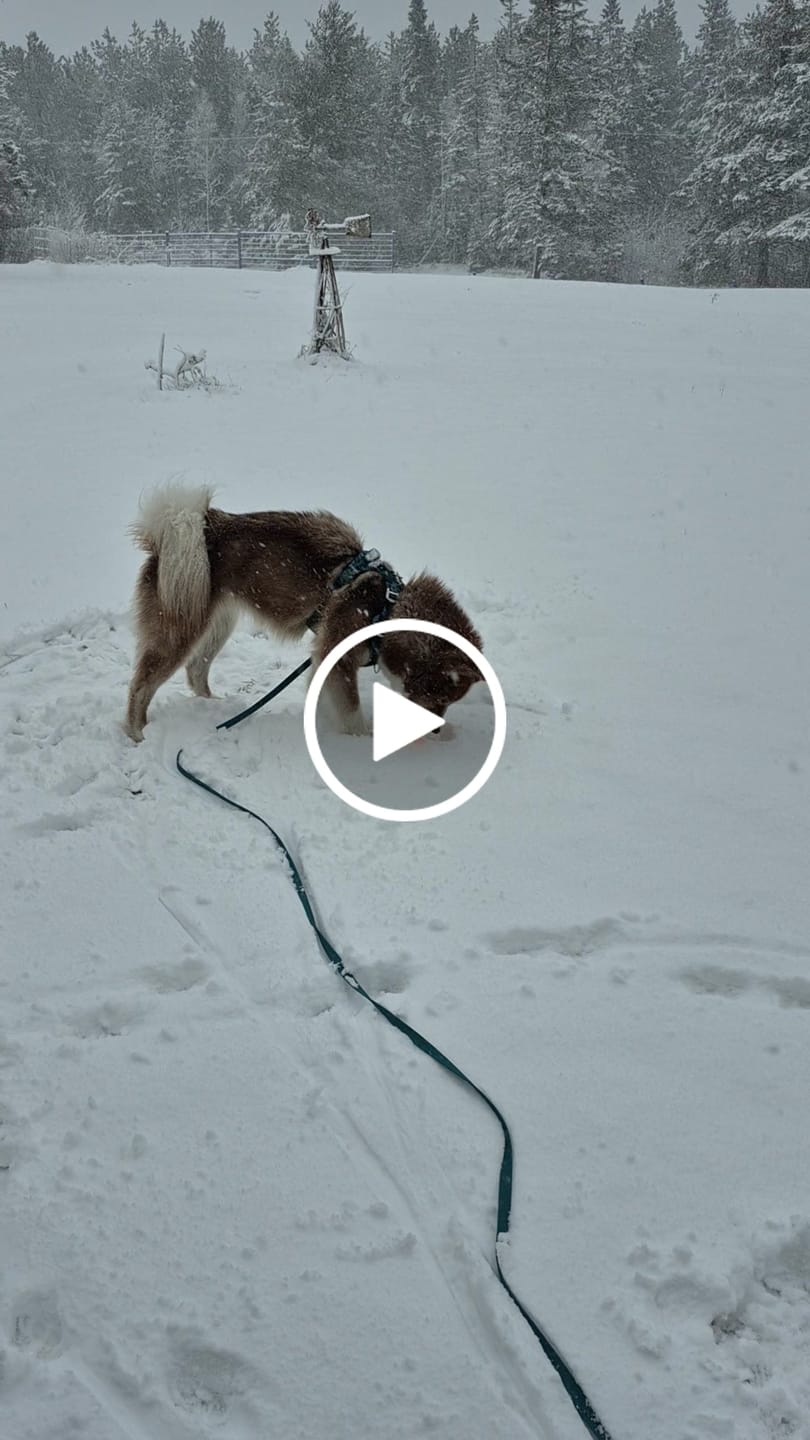 Customer video review of Tidal Waterproof Longline