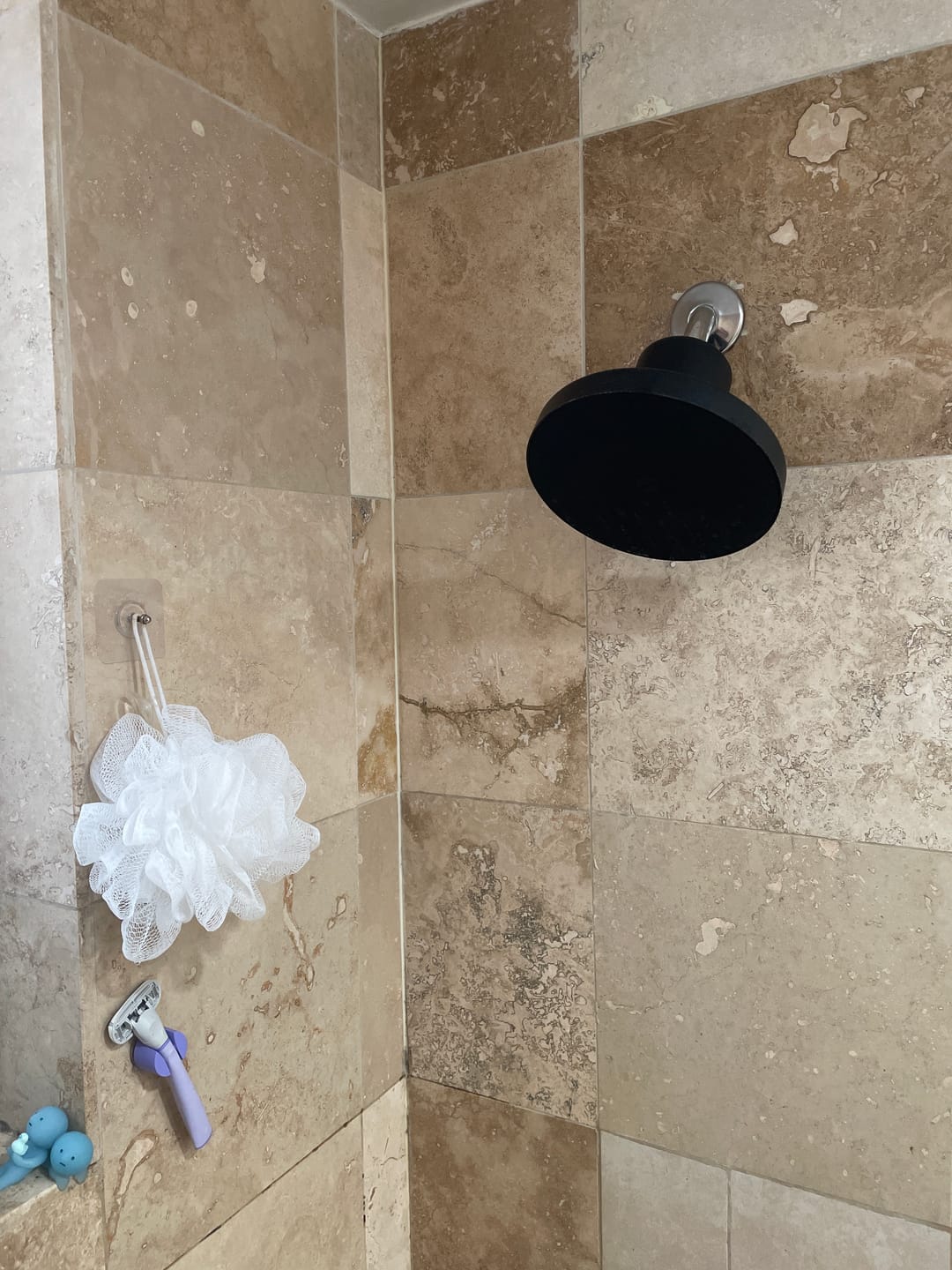 Customer photo review of Ultimate Showerhead