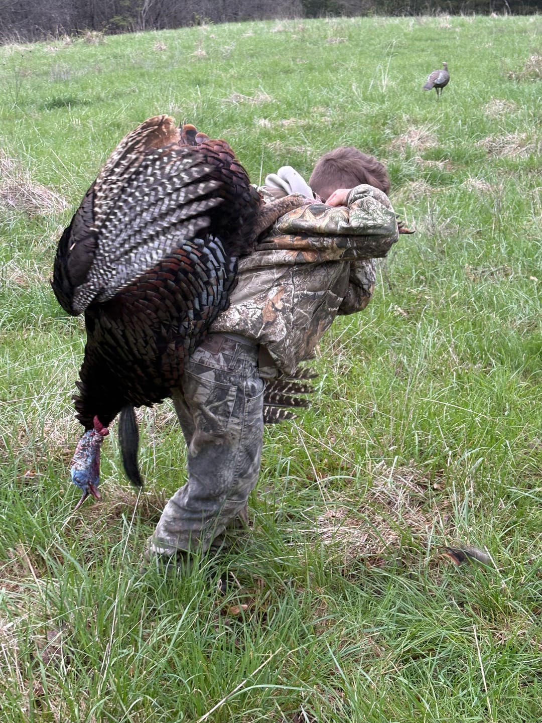 Customer photo review of FLASH SALE OptiGuard360 See-Through Low Hub 3-Person Wide Bottom Ground Blind Deer Hunting