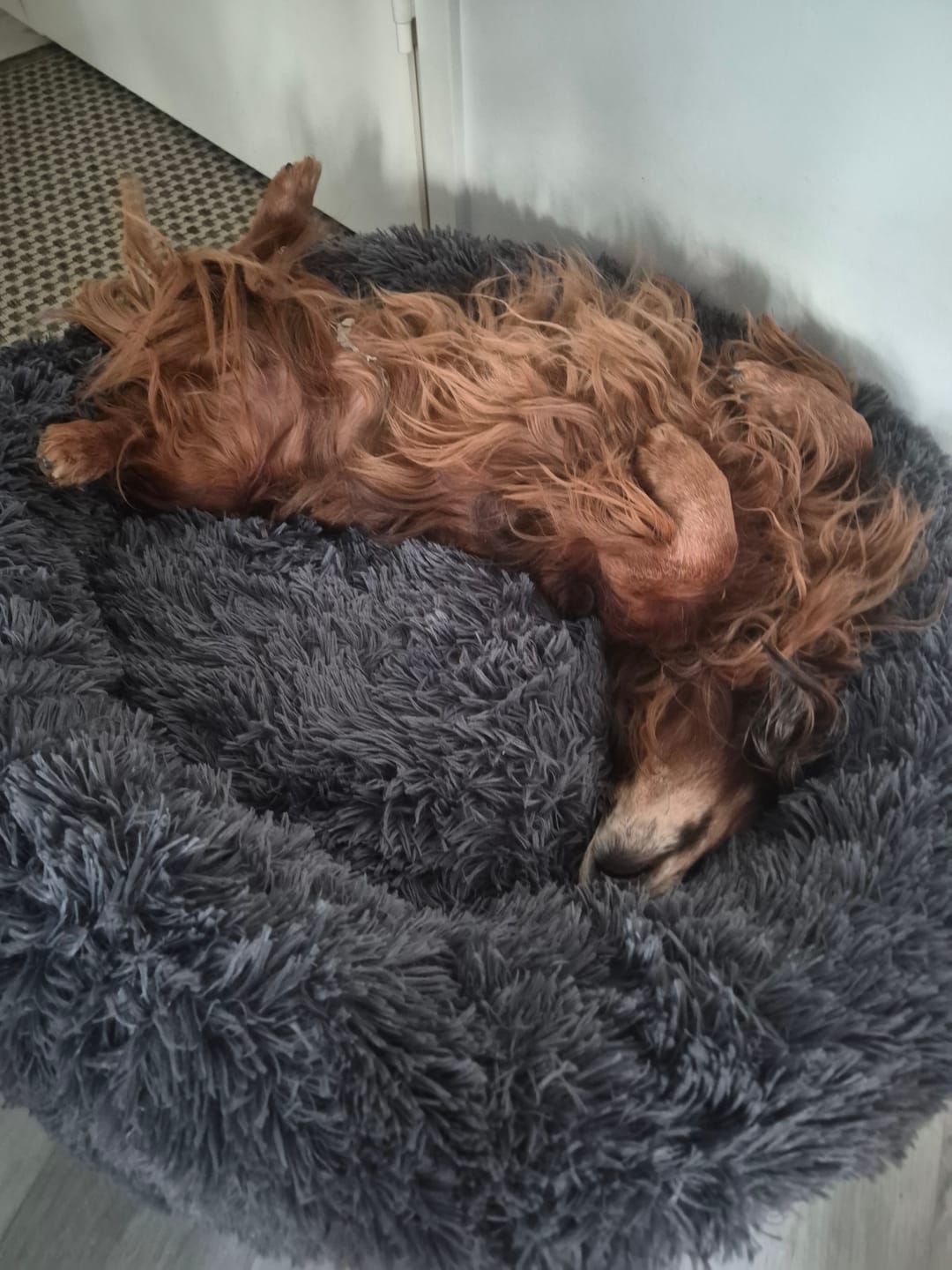 Customer photo review of CalmBed – Ehkäisee stressiä ja lievittää ahdistusta