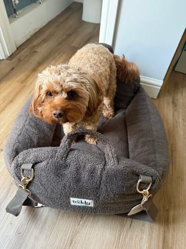 Customer photo review of Chocolate | The Cosy Car Seat