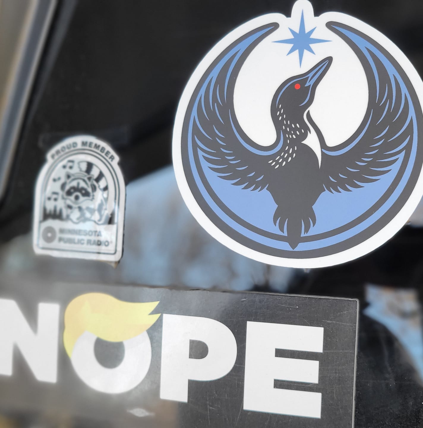Customer photo review of Large Rebel Loon Vehicle Decal Sticker