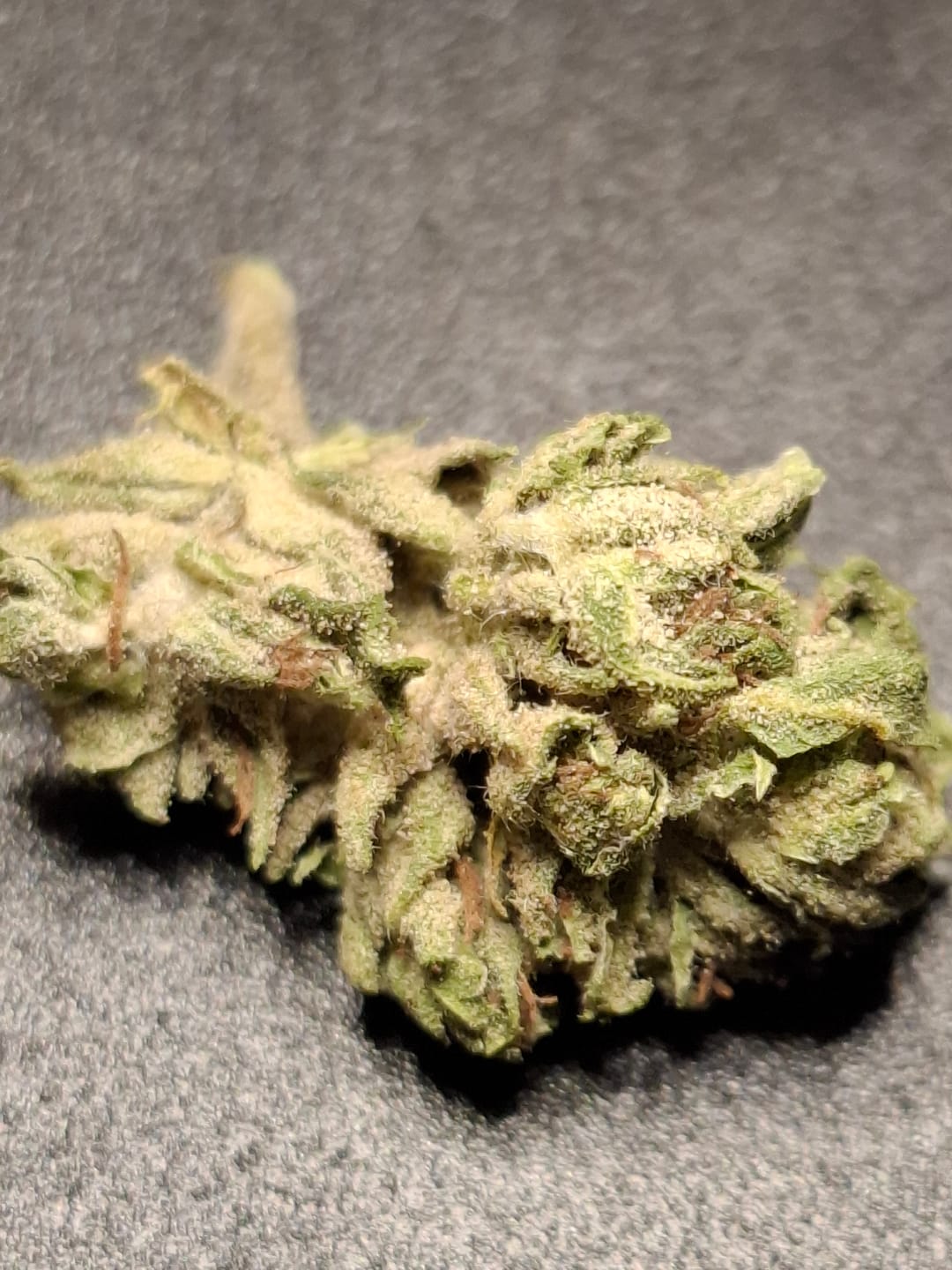 Customer photo review of Strawberry Cream CBG