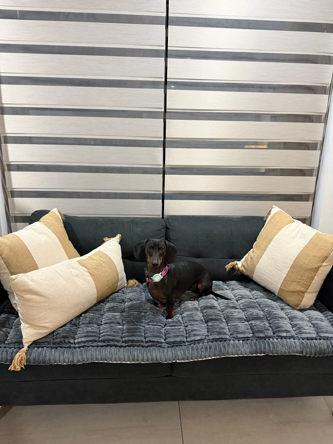 Customer photo review of Majestuoso · Protector Premium para Sofá