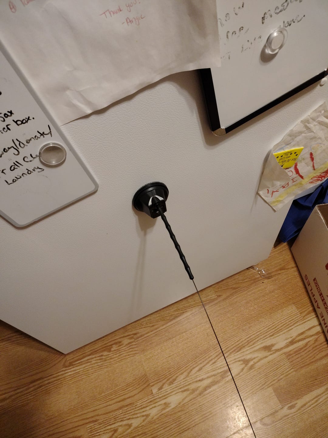Customer photo review of Replacement Sticky Pads (for Interactive Bird Simulation Cat Toy Set)