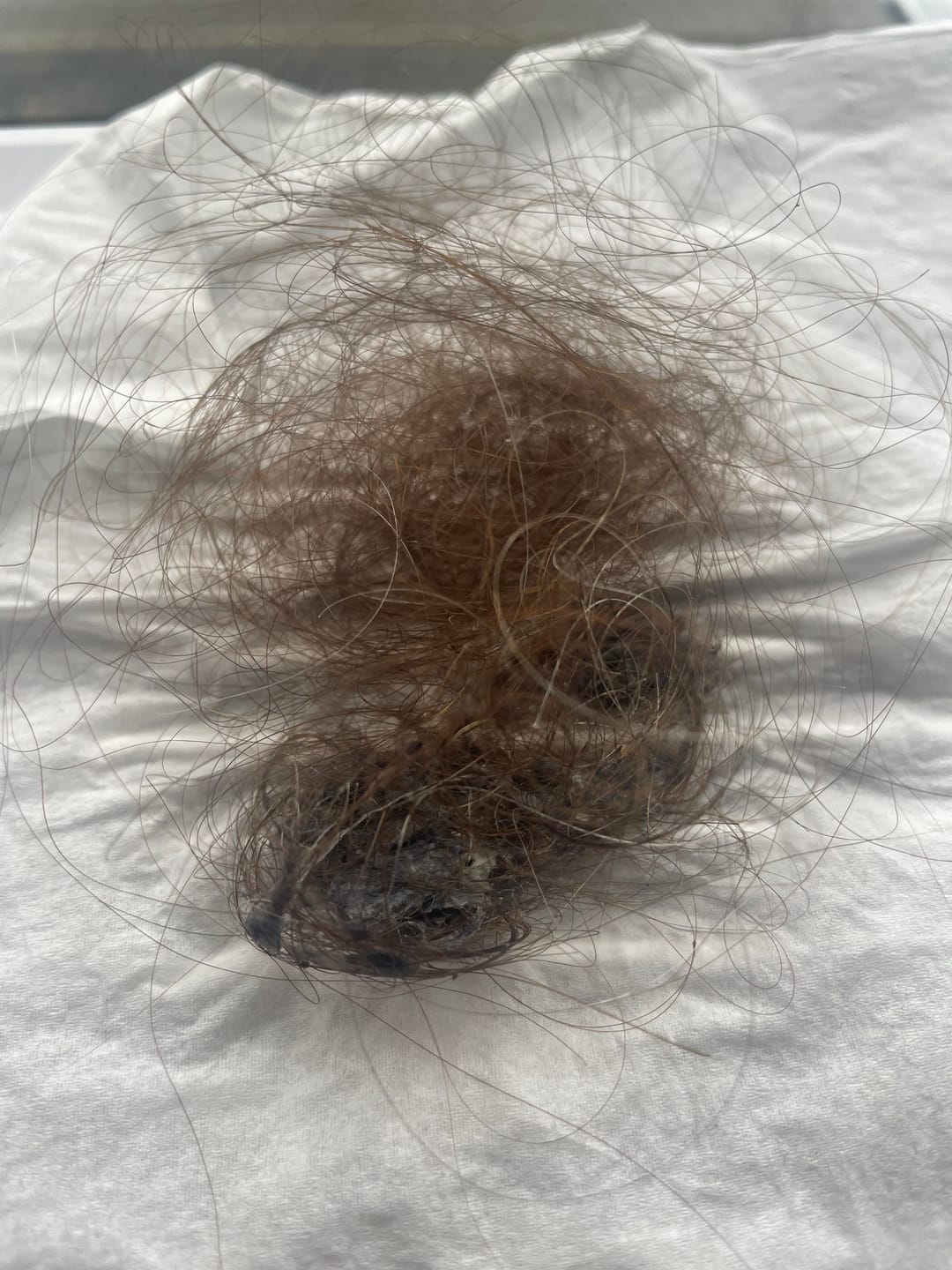 Customer photo review of Farmona Radical Ampoule Treatment Anti Hair Loss