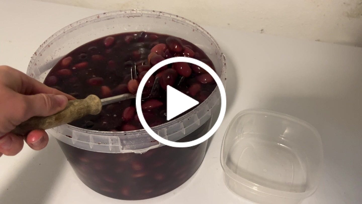Customer video review of Authentic Kalamata Olives in Brine - Horeca Format 3kg (Calibre 181-200)