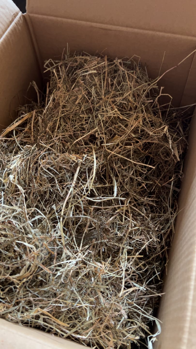 Customer photo review of Foin de prairie