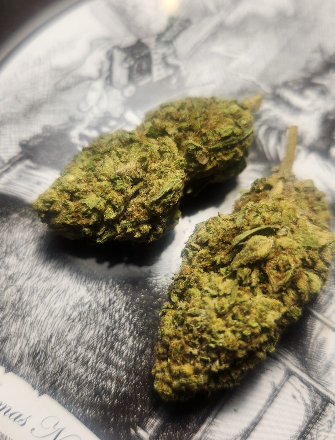 Customer photo review of Rainbow Sherbet - 28 Grams - Hybrid