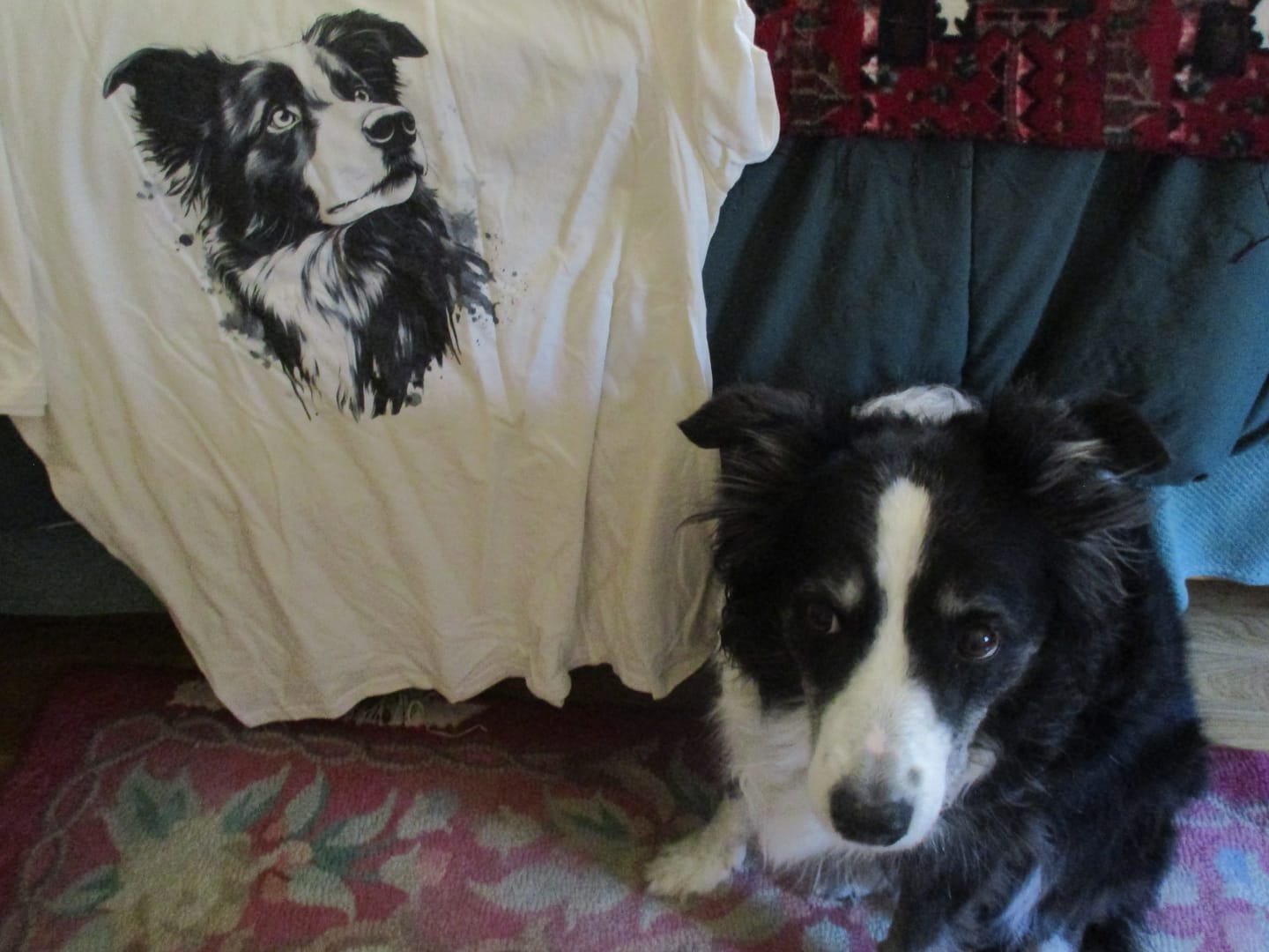 Customer photo review of Border Collie Ink Shirt