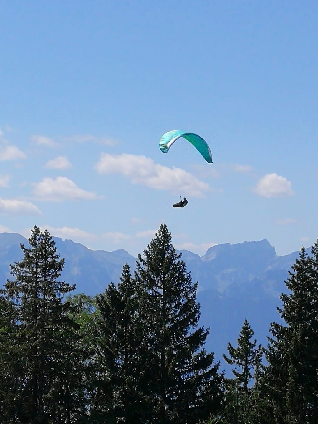 Customer photo review of Knochenbrühe Pulver 500g