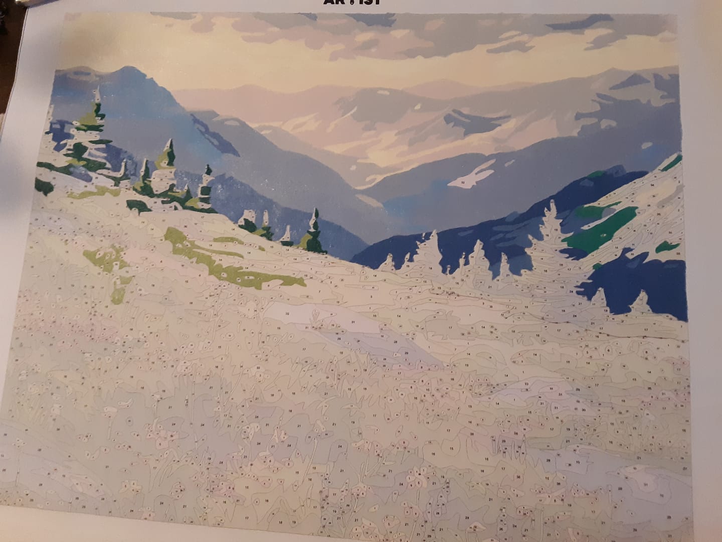 Customer photo review of Mountain Chain View