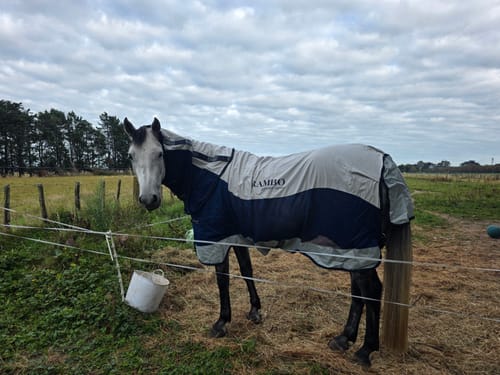 Customer photo review of Rambo Summer Series Turnout 0g