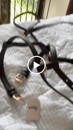 Customer video review of Chocolate┃Studio Step-In Harness