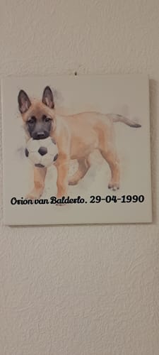 Customer photo review of Droomwassing Aquarel Tegel - Upload je eigen foto