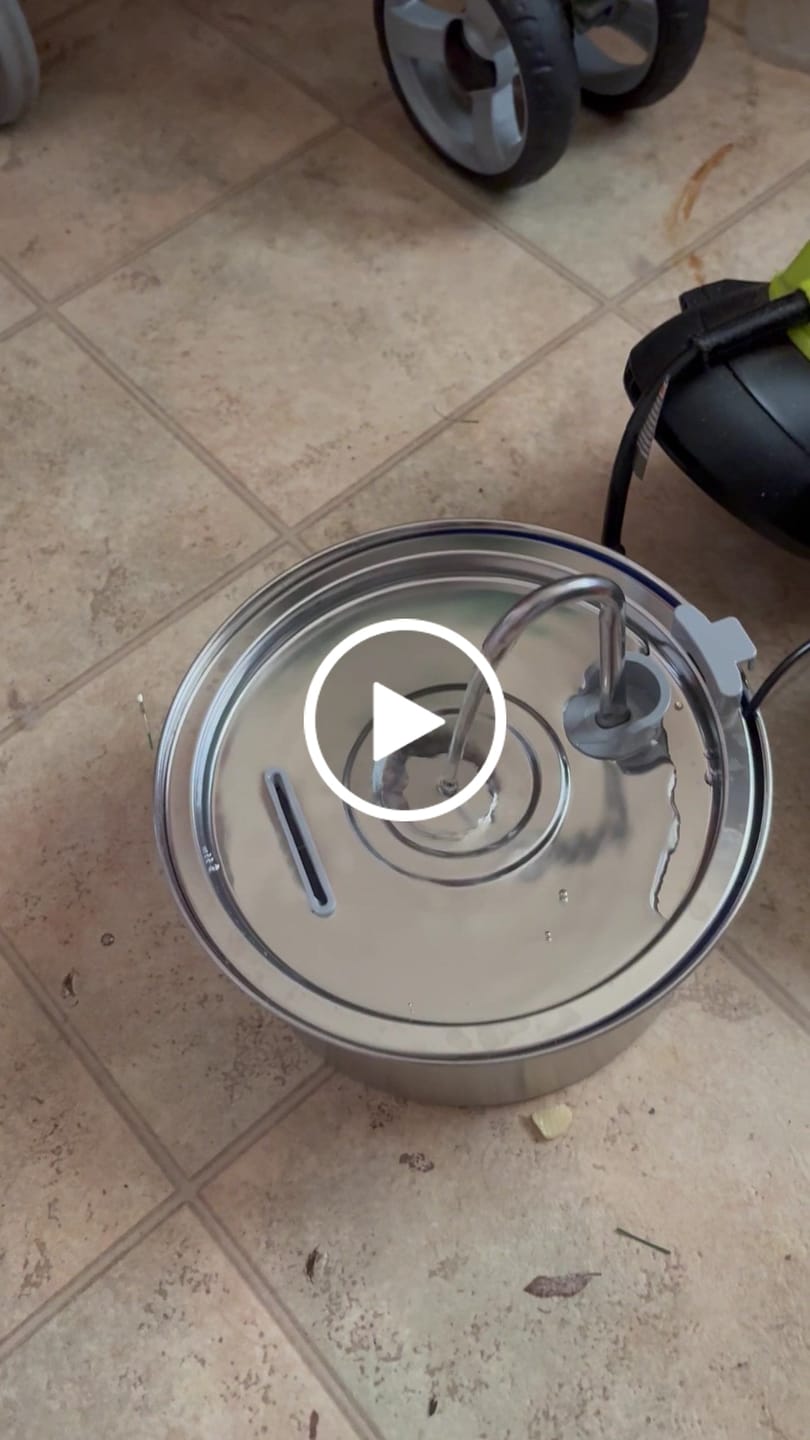 Customer video review of Pawdrate™ Filtered Water Fountain