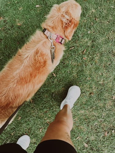 Customer photo review of Nike ReactX Infinity Run 4 Triple White Wmns