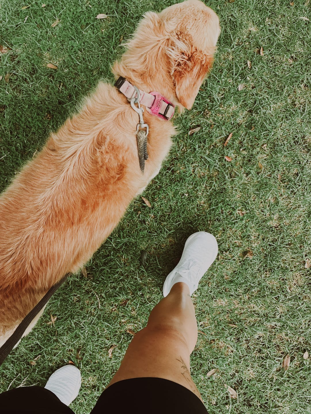 Customer photo review of Nike ReactX Infinity Run 4 Triple White Wmns