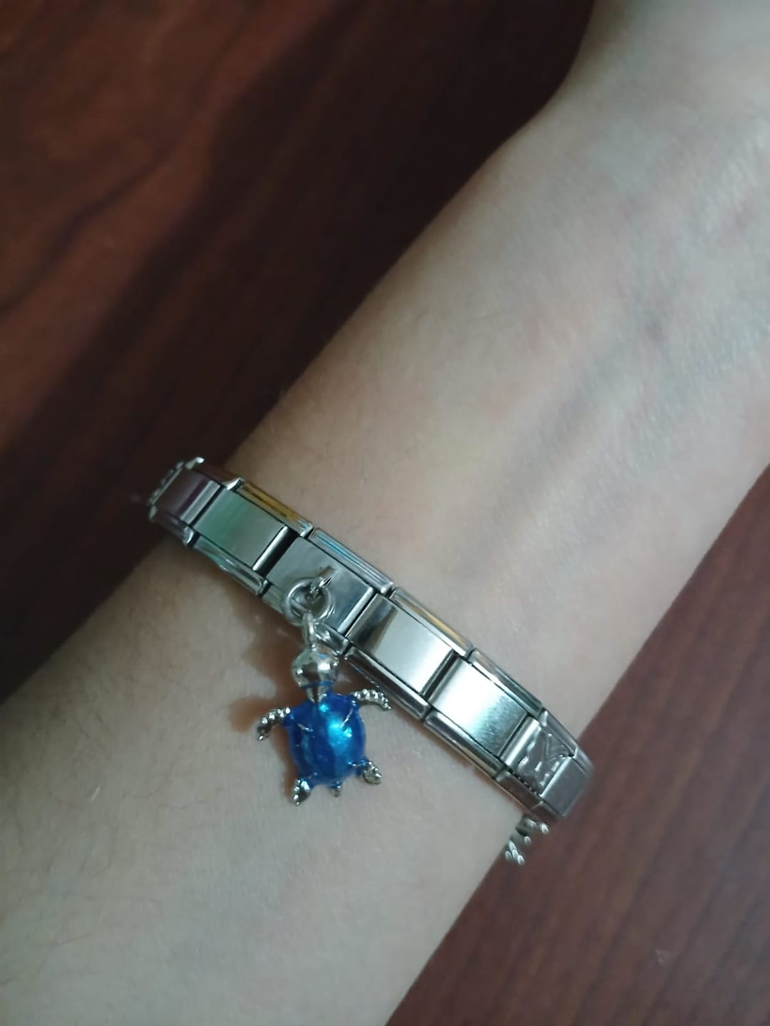 Customer photo review of Charm Tortuga
