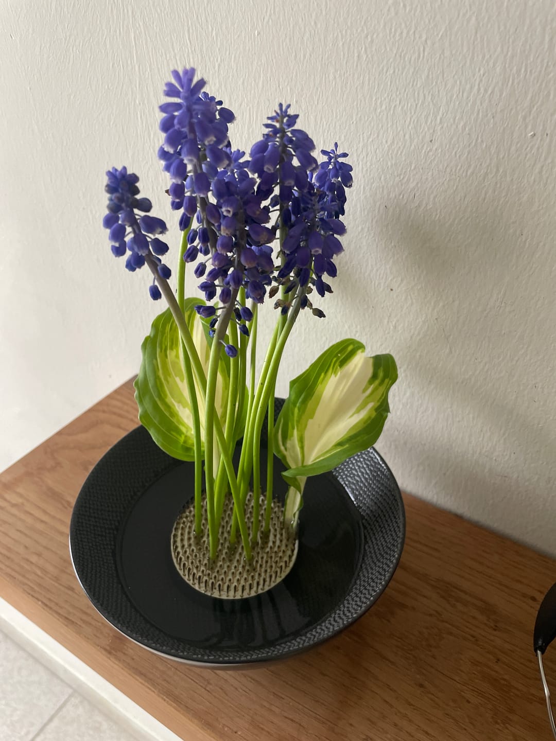 Customer photo review of Home Florist's Start Kit - Champagne Gold