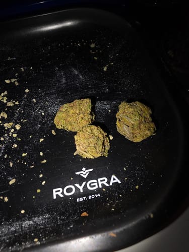 Customer photo review of Cherry Pie | THCA Flower