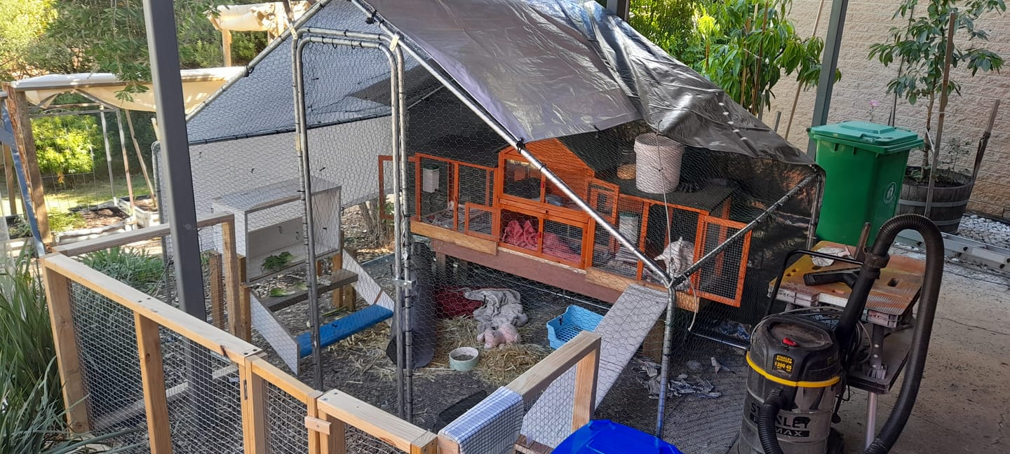 Customer photo review of Pets Gear Metal Cat Cage Outdoor Enclosure