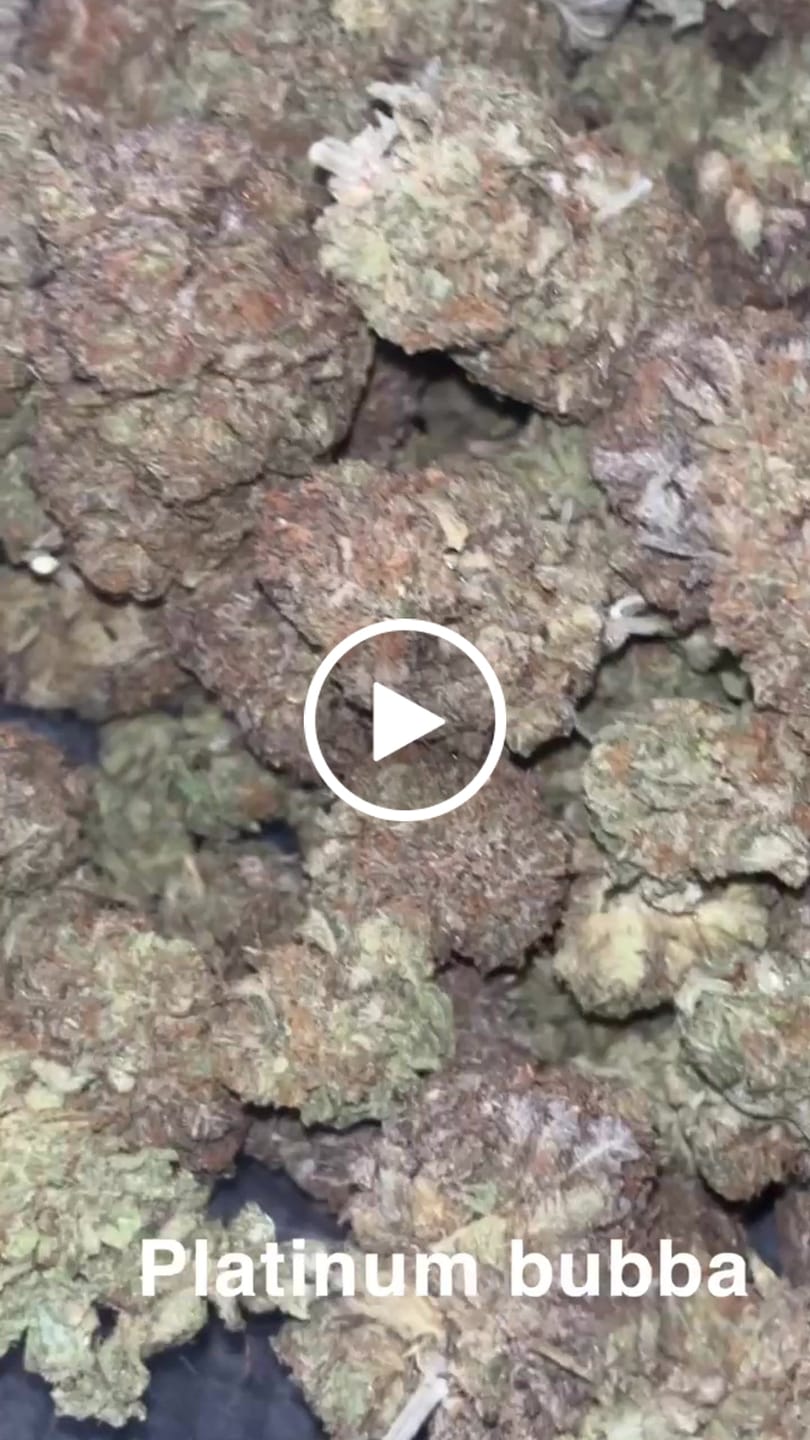 Customer video review of Platinum Bubba - Bulk - Indica