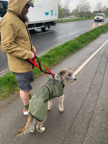 Customer photo review of Regna - Lightweight Summer Sighthound Coat with Harness Hole Zip