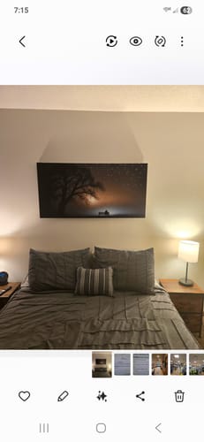 Customer's Modern Nature Scenery Wall Art hanging on a wall above a neatly made bed in a bedroom.