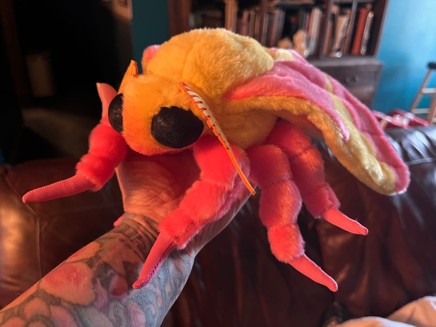 Customer photo review of Rosy Maple Moth Soft Stuffed Plush Toy