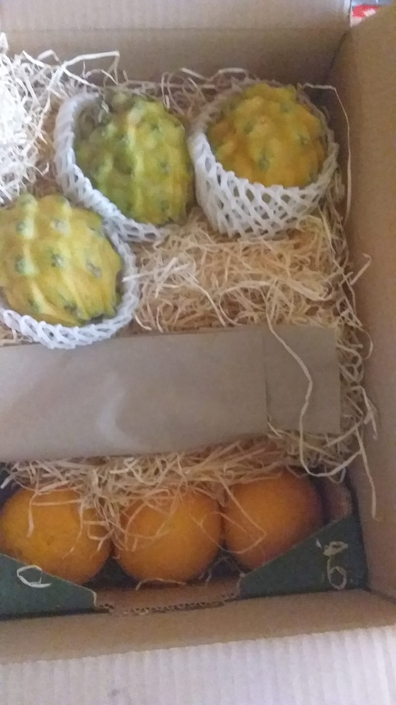 Customer photo review of Goldene Drachenfrucht (Pitaya) Sonderaktion