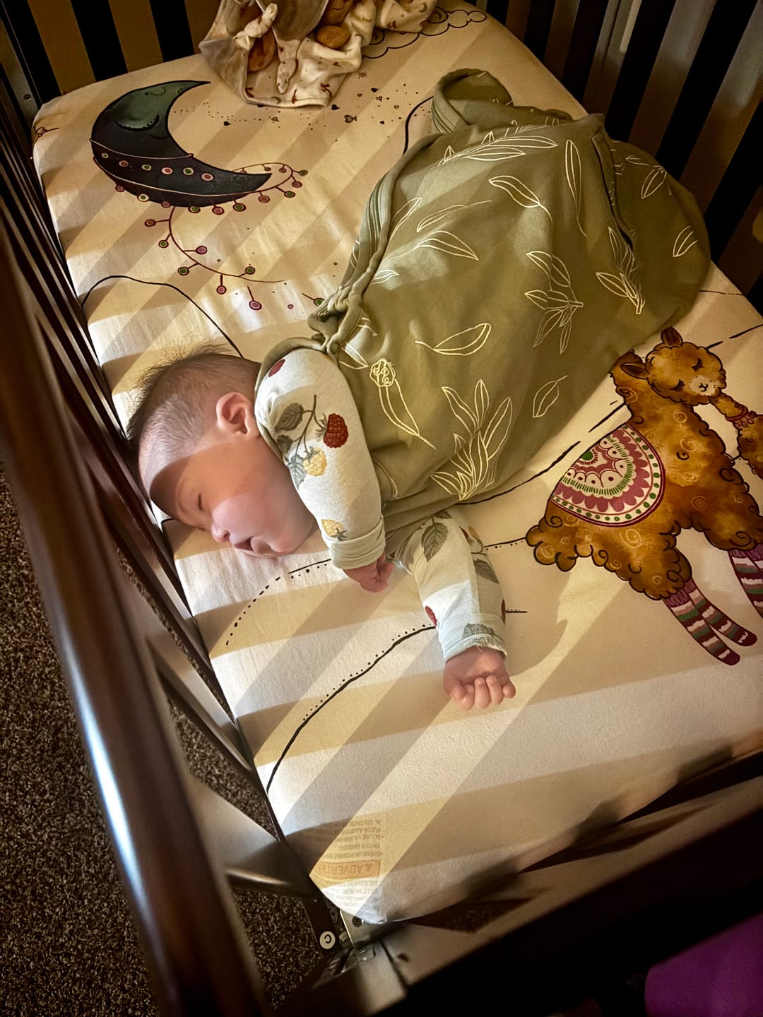 Customer photo review of 4 Season® Ultimate Baby Sleep Bag, Merino Wool & Organic Cotton, Sun