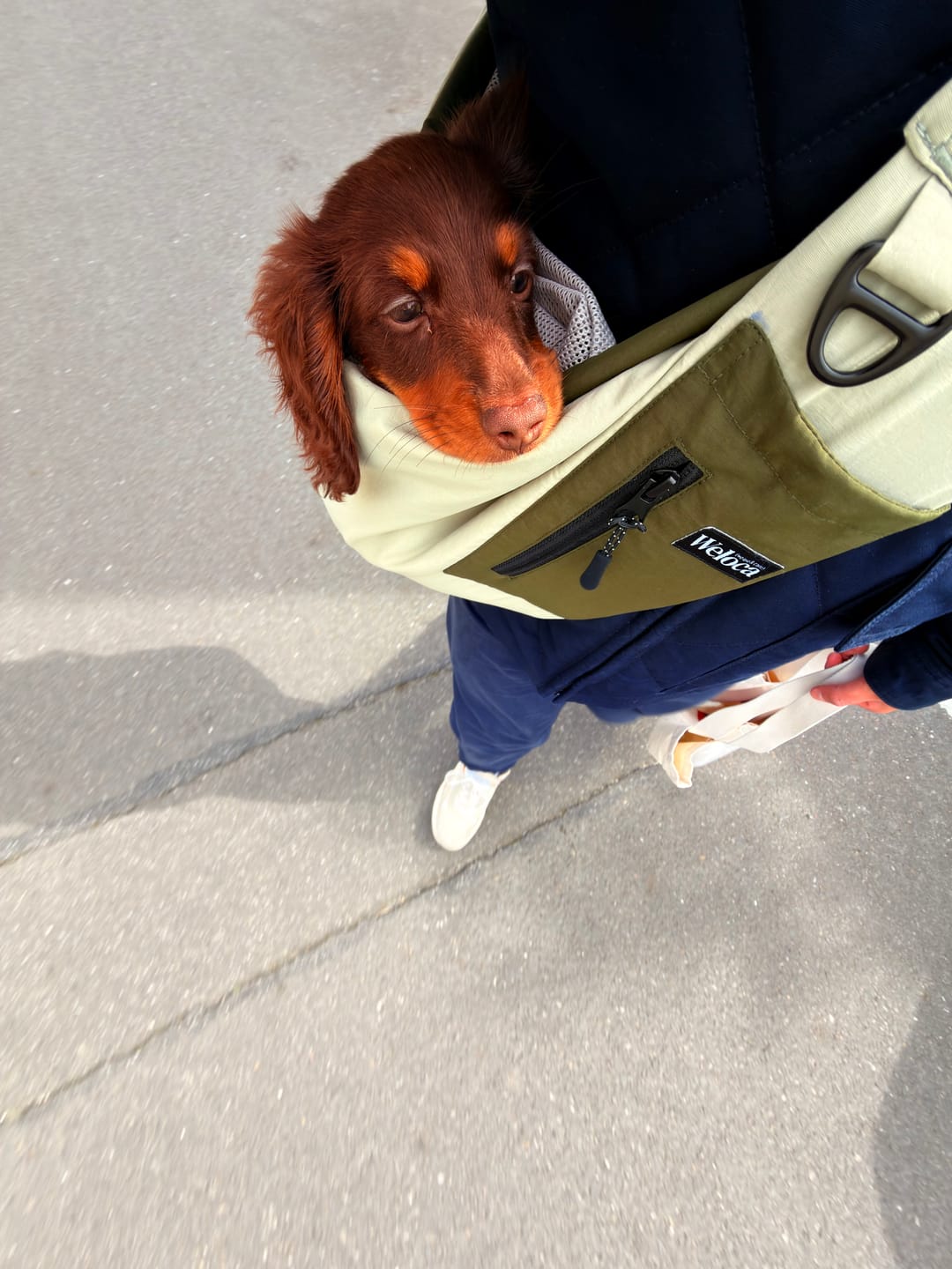 Customer photo review of Sac de transport en bandoulière vert