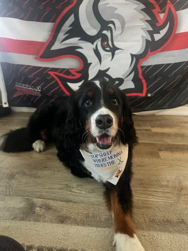 Customer photo review of Where Momma Hides the Cookies