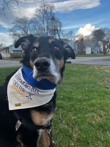 Customer photo review of Where Momma Hides the Cookies