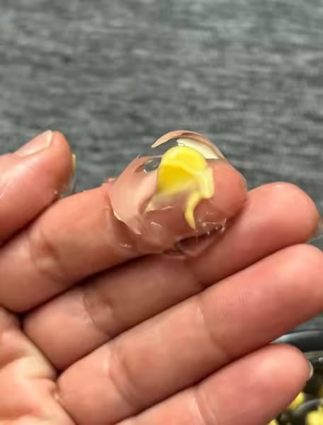 Customer photo review of PERLE C – Gel con capsule di vitamina pura illuminante