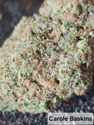Customer photo review of Carole Baskin Kush THCA Flower