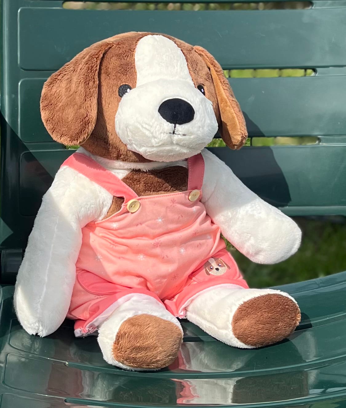 Customer photo review of Hond Kleding Lente Lotgenootje