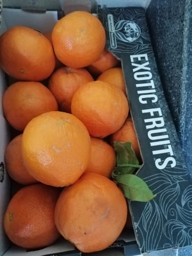 Kundenbild von leuchtend orangen Bio-Navel-Orangen, die in einer offenen Versandbox liegen.