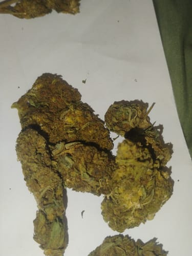 Customer photo review of Cheap THCA Flower Ounce