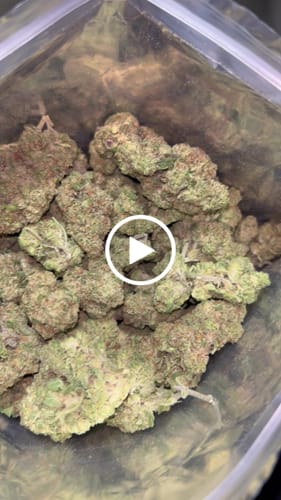 Customer video review of Acapulco Gold THCA Flower
