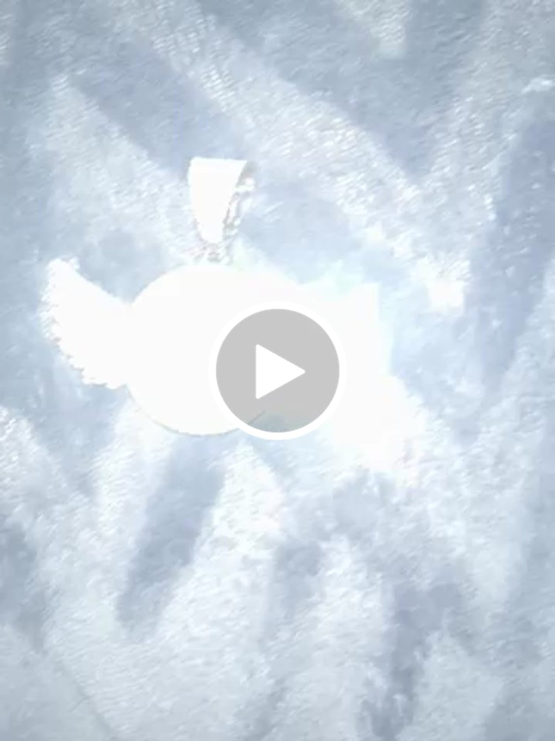Customer video review of Custom Image Wings Pendant