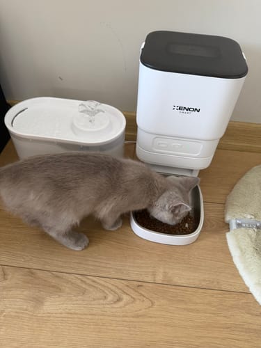 Customer photo review of Akıllı Mama Kabı ve Şeffaf Su Pınarı