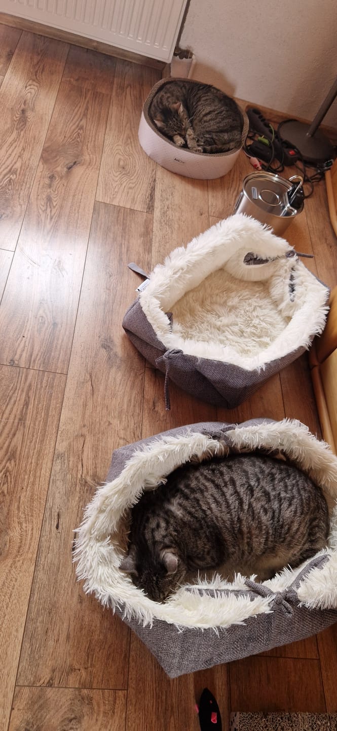 Customer photo review of NordFlow 2.0 Katzenbrunnen