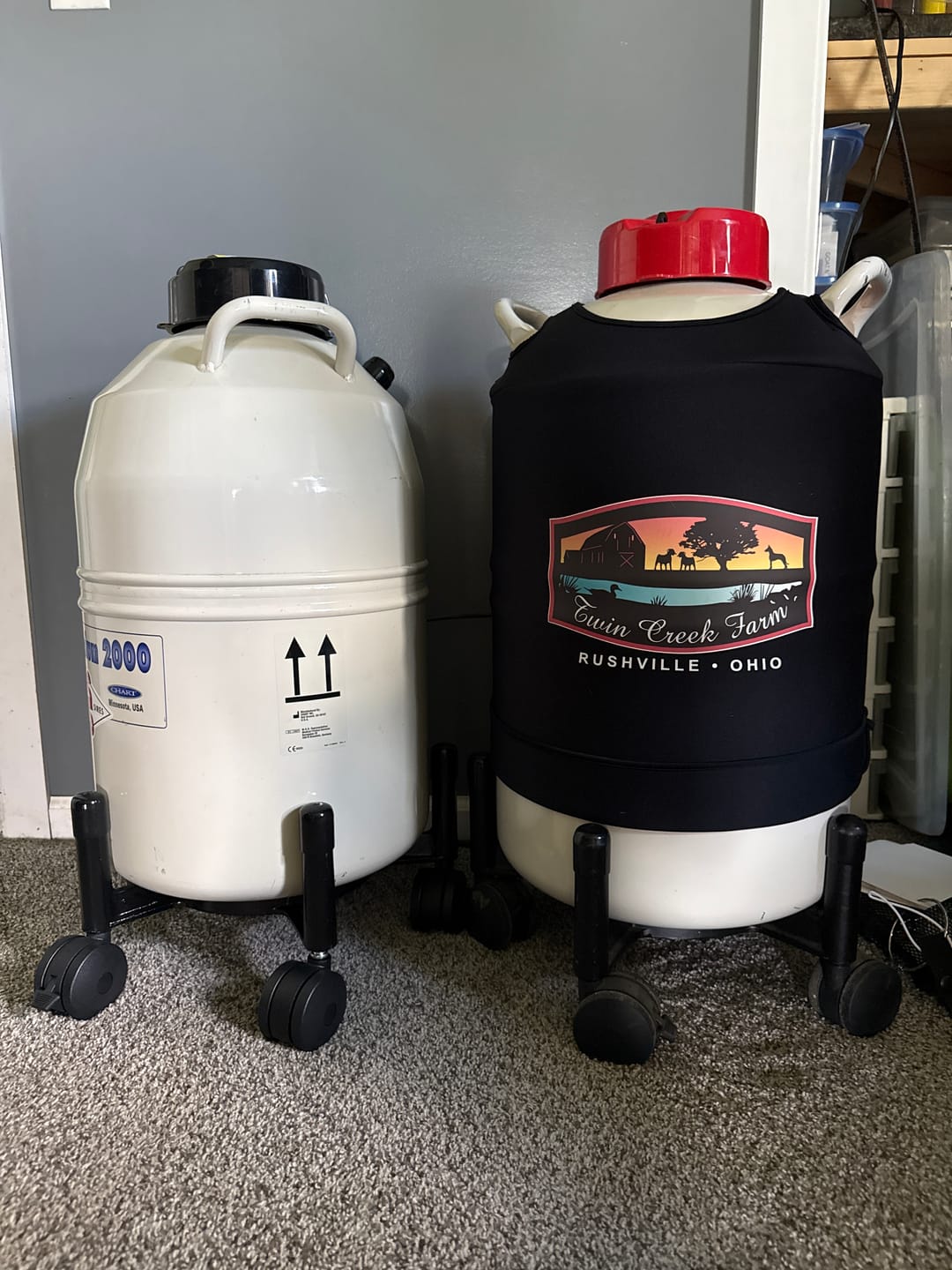 Customer photo review of Roller Base - Three sizes