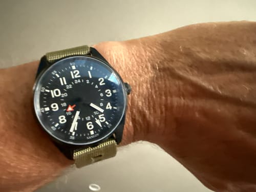 Customer photo review of Overlord (VIP)