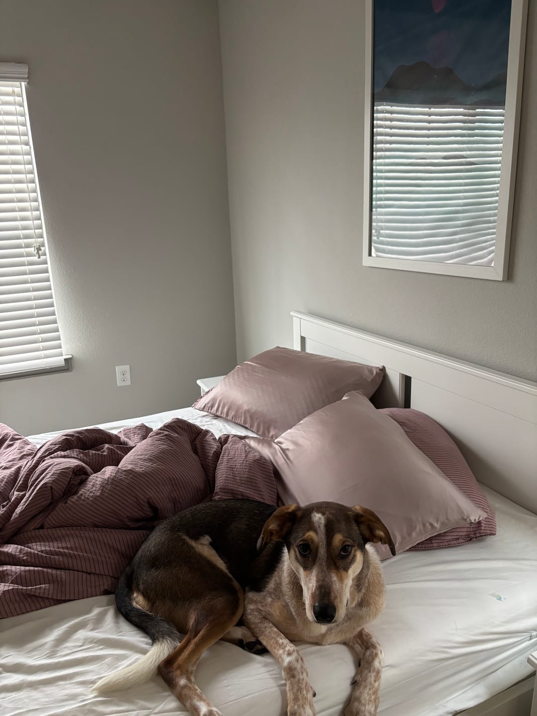 Customer photo review of Purple Striped Duvet Cover