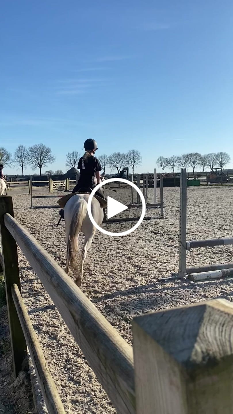 Customer video review of Spines Kinder Rugbeschermer